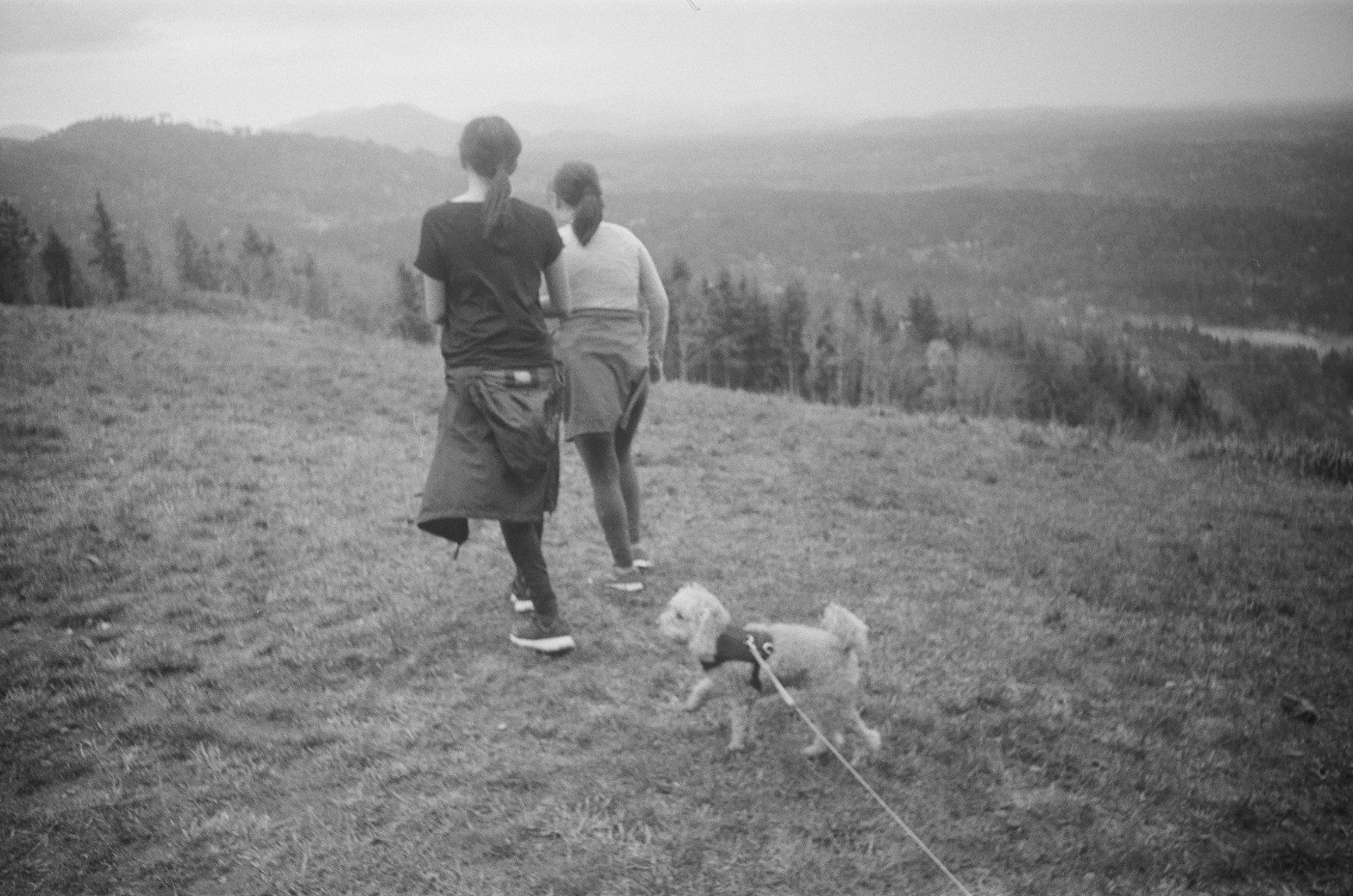 Black and white film photo of two people hiking and a toy poodle