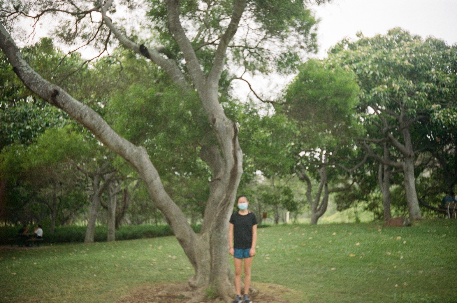 A girl stands next to a curved tree