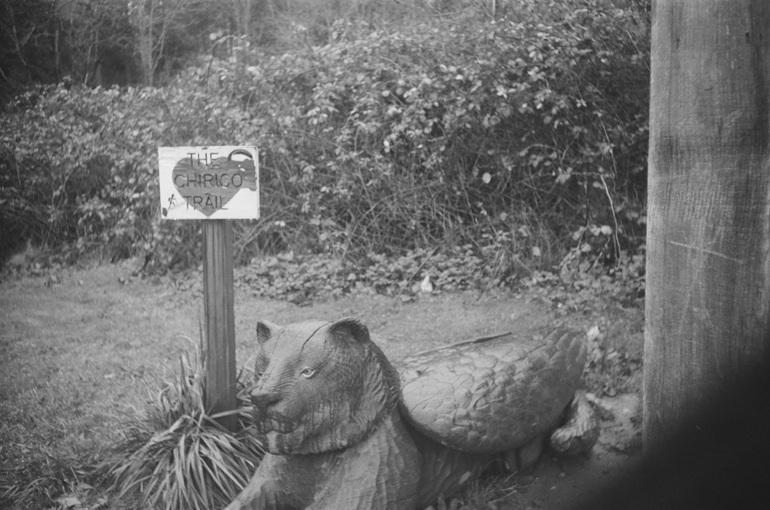 black and white image of a wood carving at a trailhead in Washington state