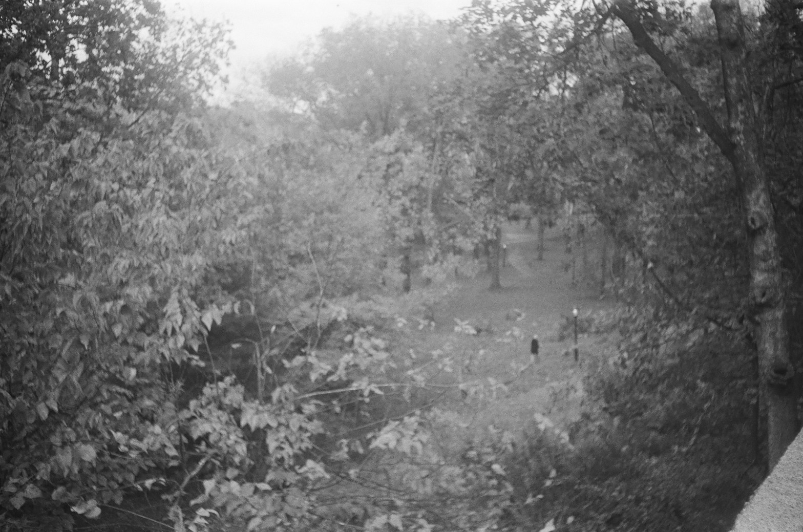 A black and white film photo of Riverside Park in New York in the Fall/Winter