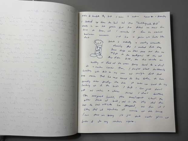 A white journal page with a journal entry written in blue ink. A drawing of a stick figure cartoon with a dress and spiky hair.